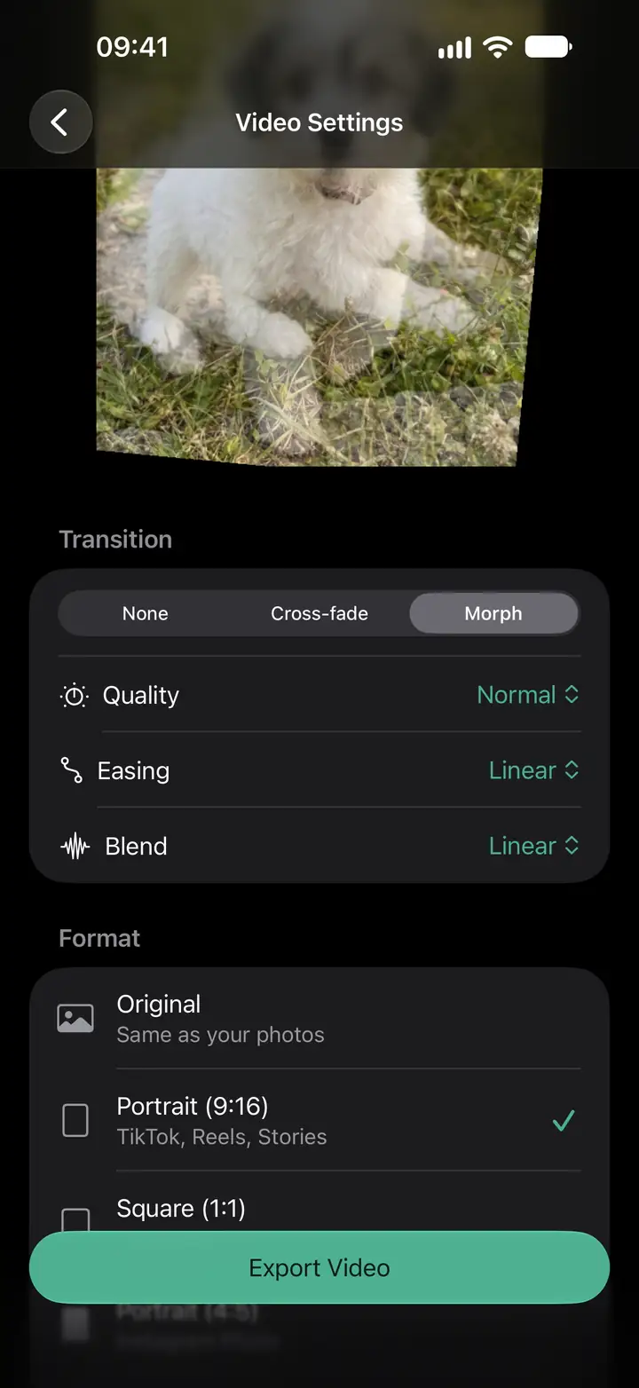 Lign's Video Settings screen shows transitions, quality, easing, and export formats including Portrait 9:16 and Square 1:1.