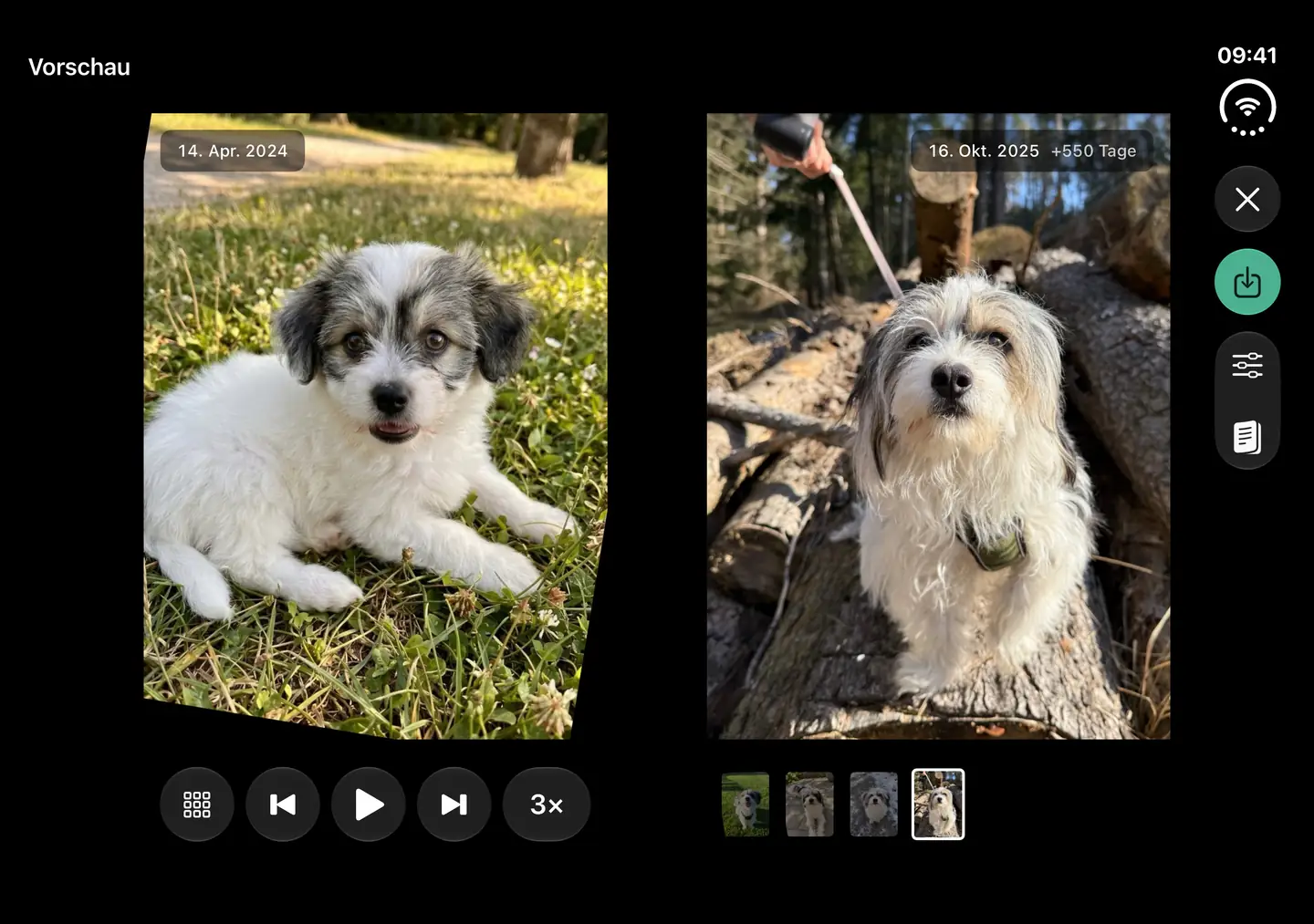 Ein aufgeklapptes iPhone Duo zeigt links ein Welpenfoto und rechts ein späteres Foto mit Daumenkino-Steuerung.
