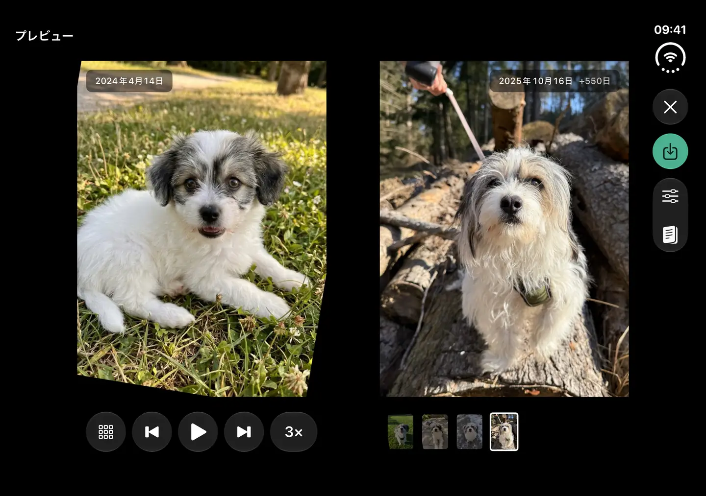 開いたiPhone Duo。左には犬の子犬時の写真、右にはフリップブックの操作が付いた後の写真が表示されています。