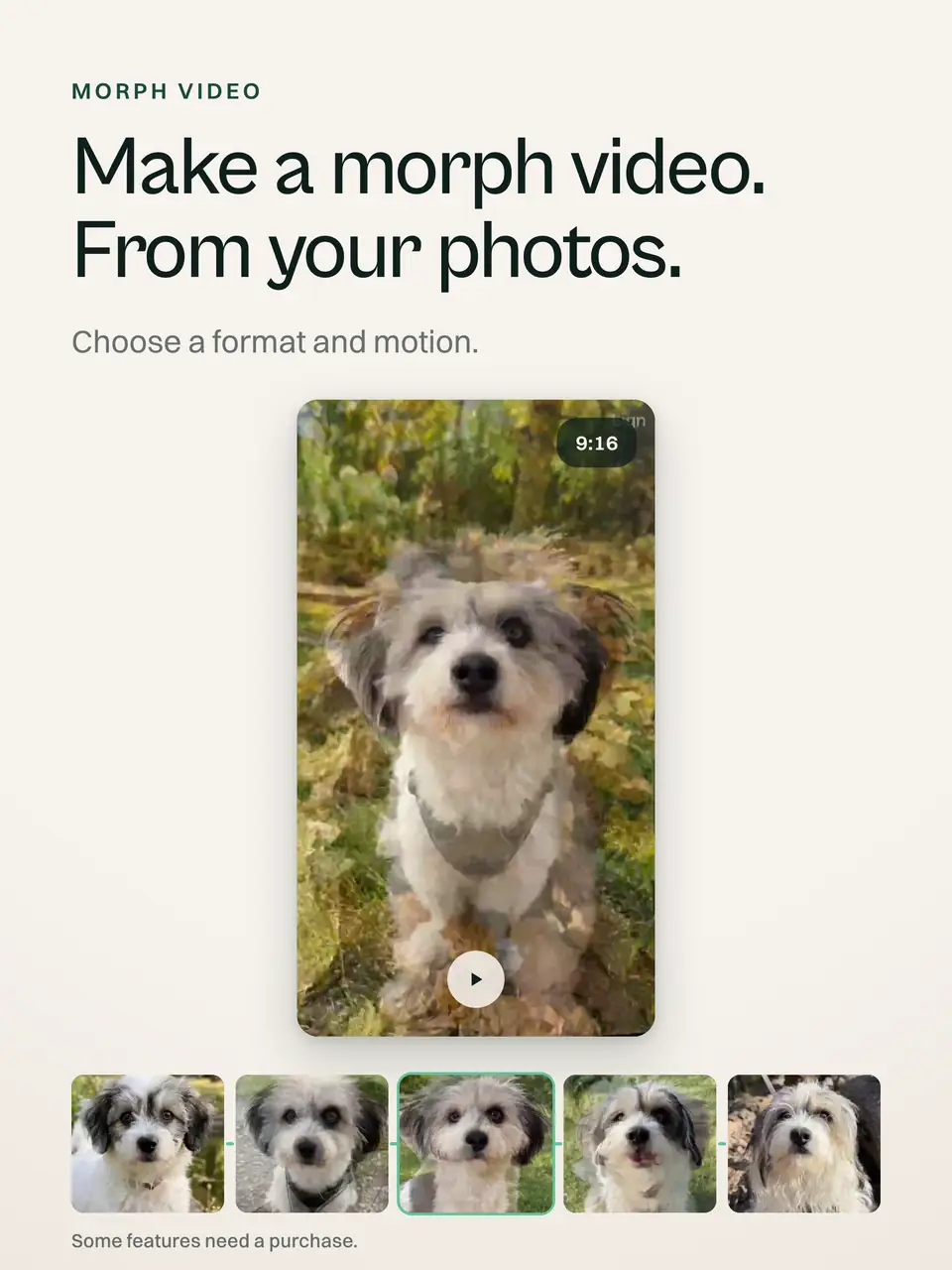 Make a morph video. From your photos.