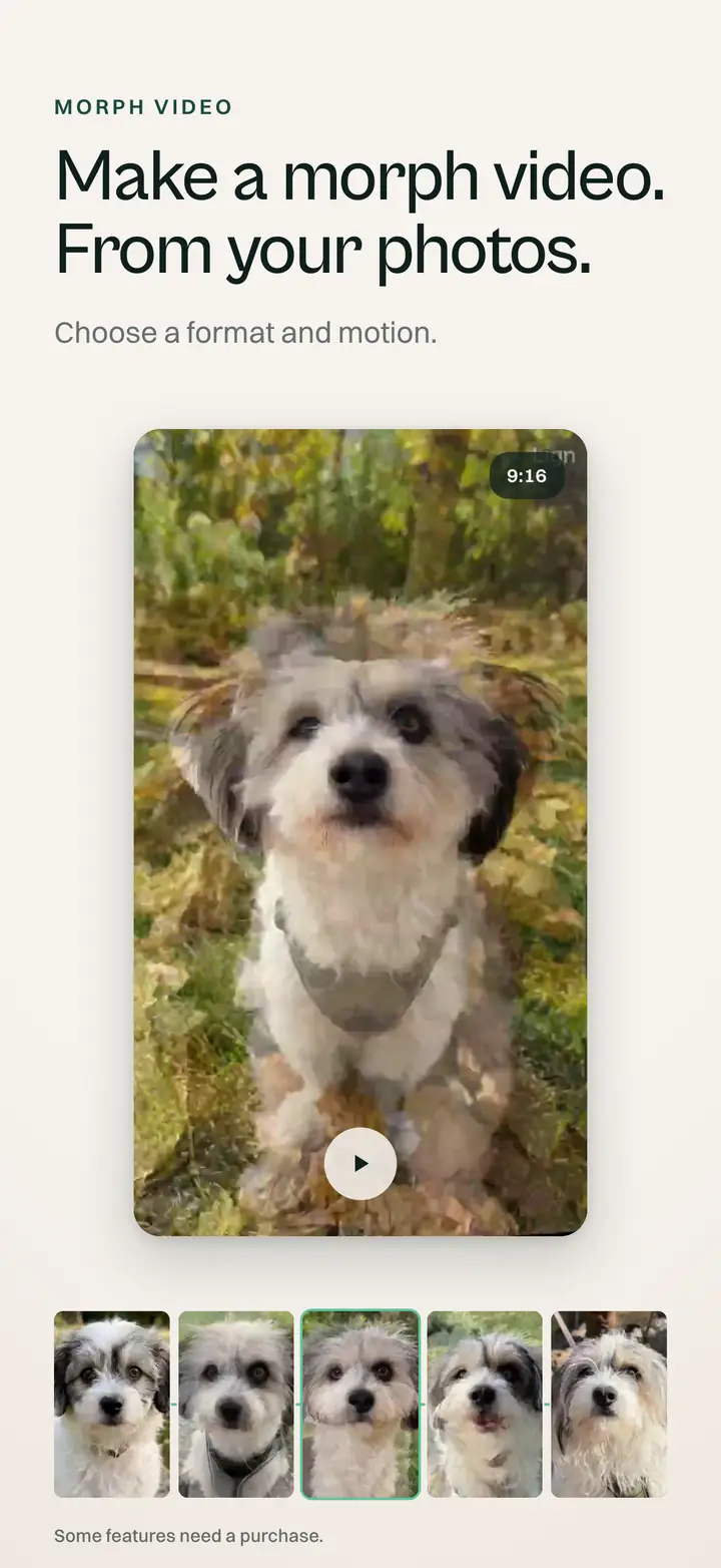 Haz un video morph. Con tus fotos.