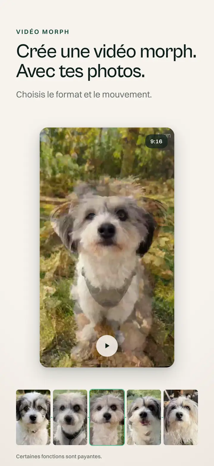 Crée une vidéo morph. Avec tes photos.