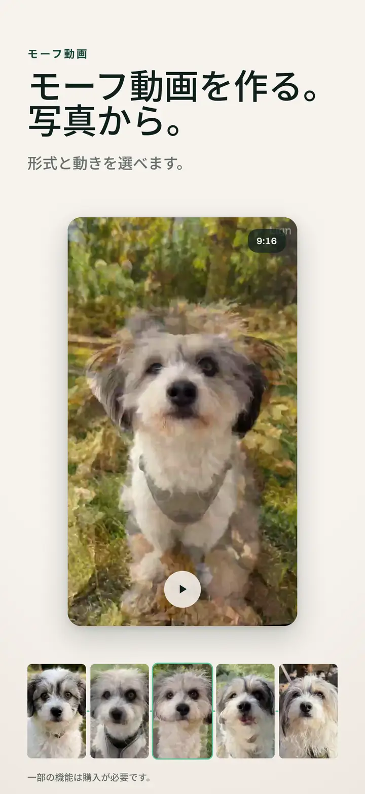 モーフ動画を作る。 写真から。